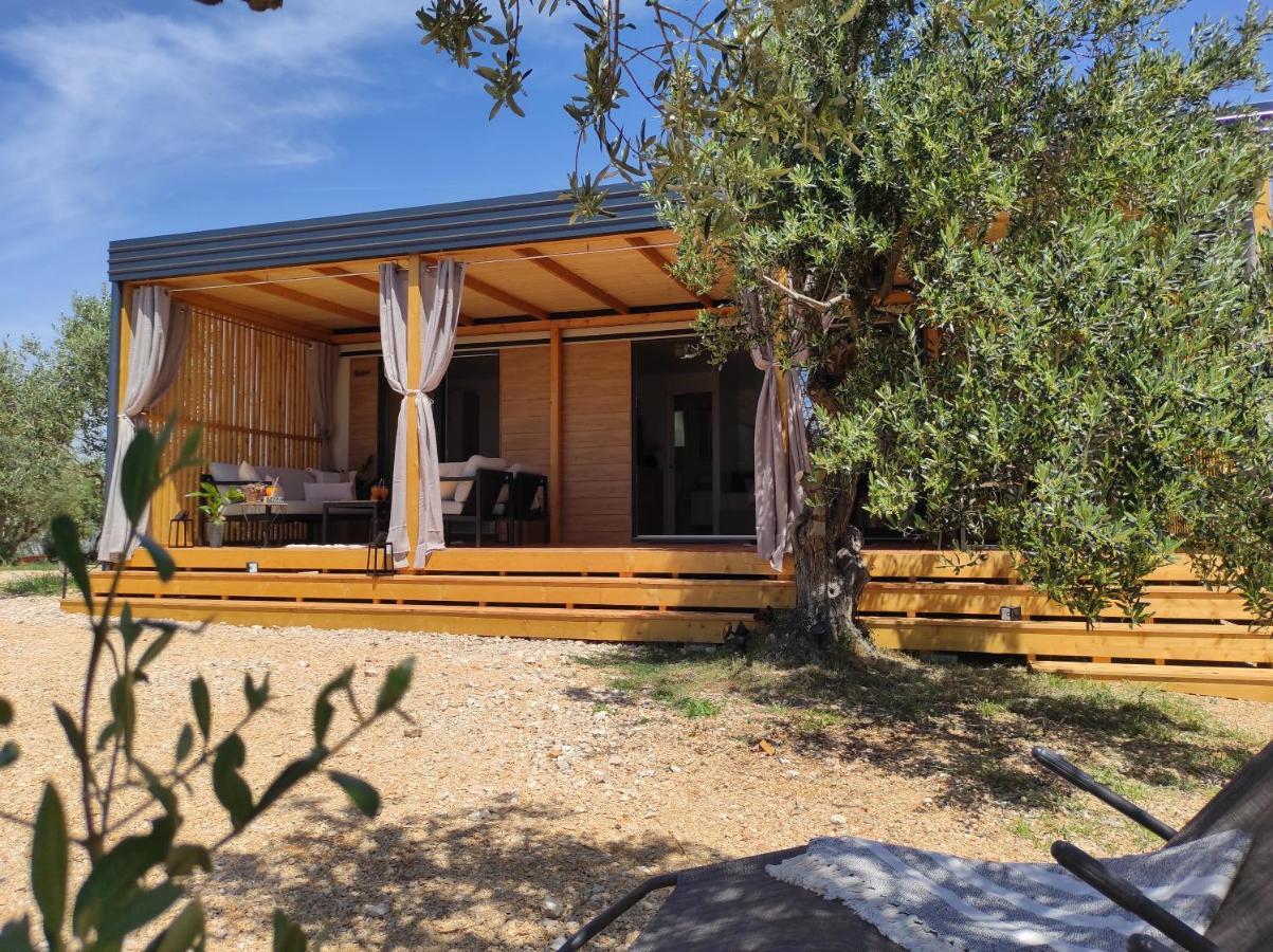 Zen Zone Premium Mobile Home Drage Exterior photo