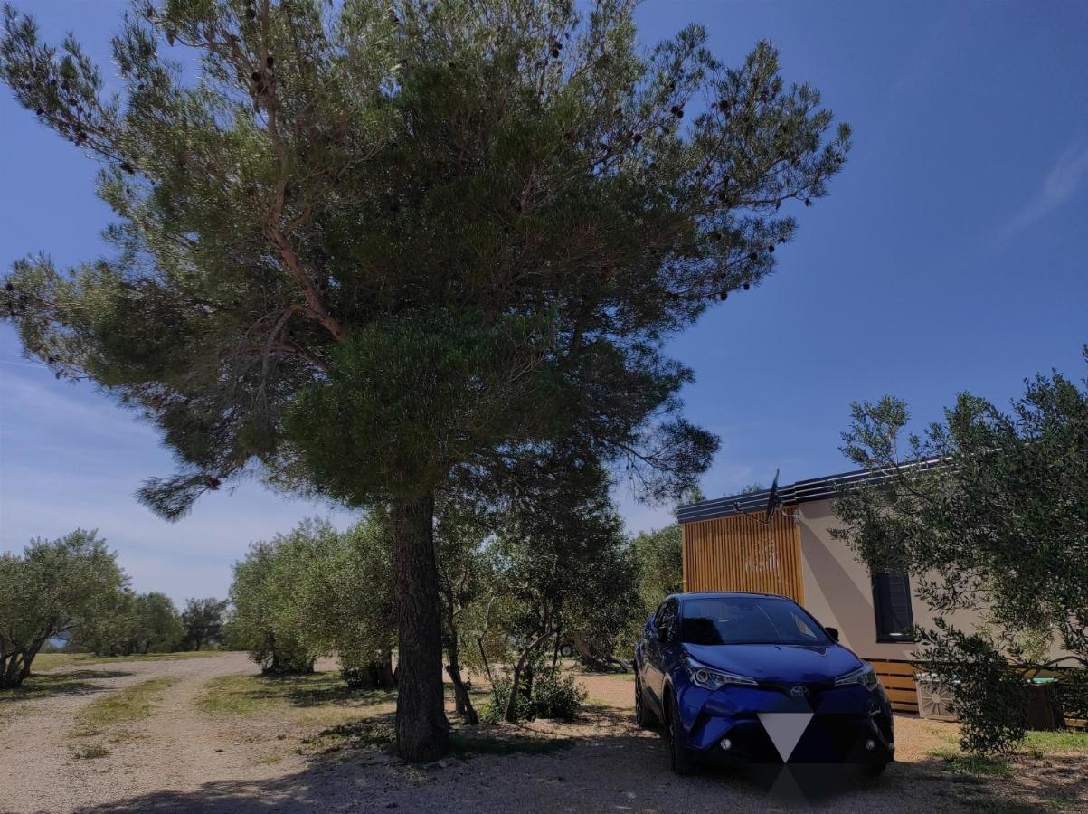 Zen Zone Premium Mobile Home Drage Exterior photo
